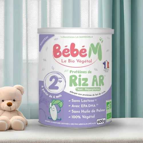 Bebe M® Vegan Anti - Reflux Organic Stage 2 Follow - On Formula 6 - 10 Months (600g) | The Milky Box