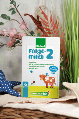 Lebenswert® Stage 2 (500g) Organic Baby Milk Formula