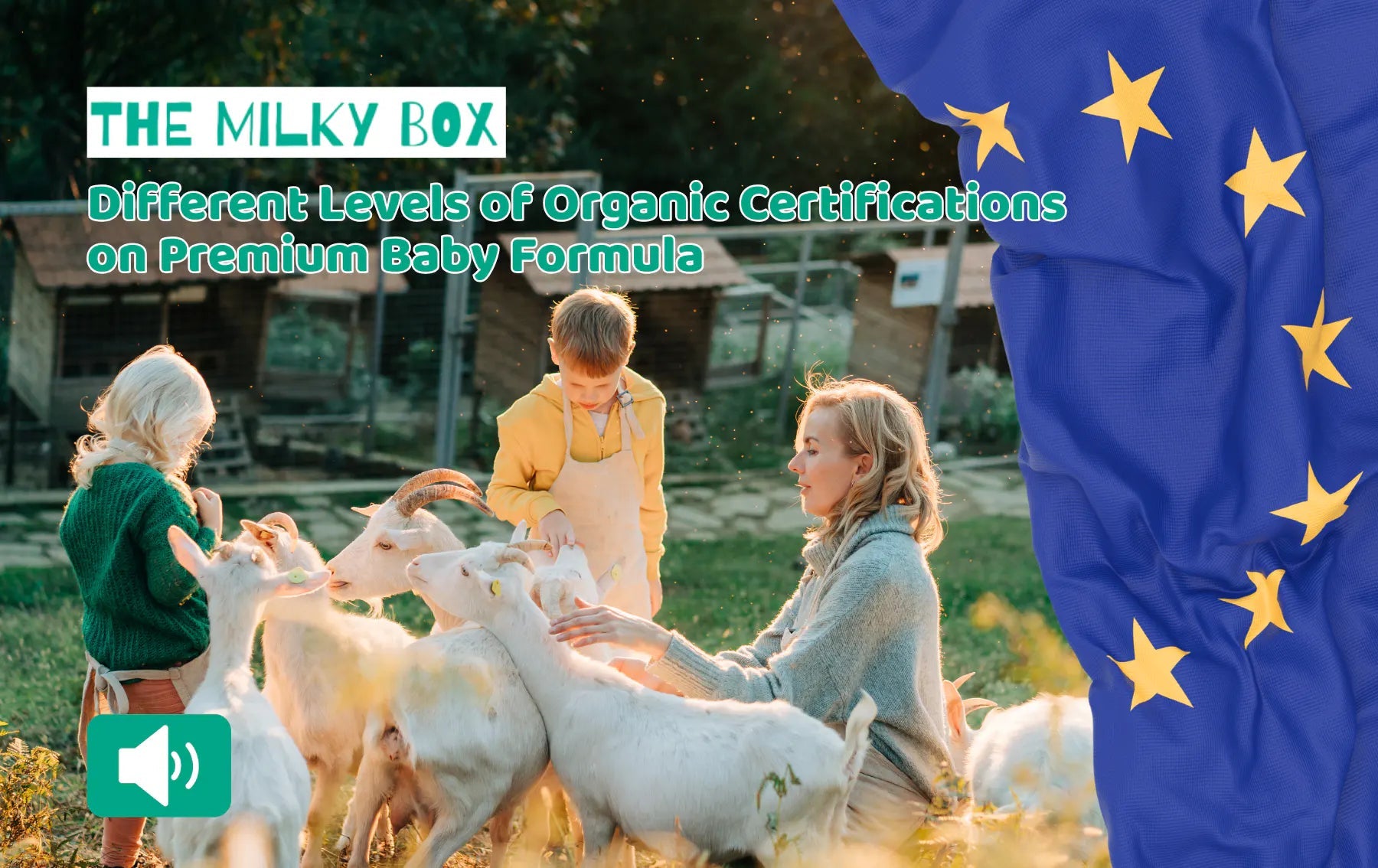Different Levels of Organic Certifications on Premium Baby Formula 2026 Update - The Milky Box