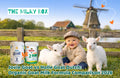 Jovie Goat vs Holle Goat Dutch: Organic Goat Milk Formula Comparison 2026