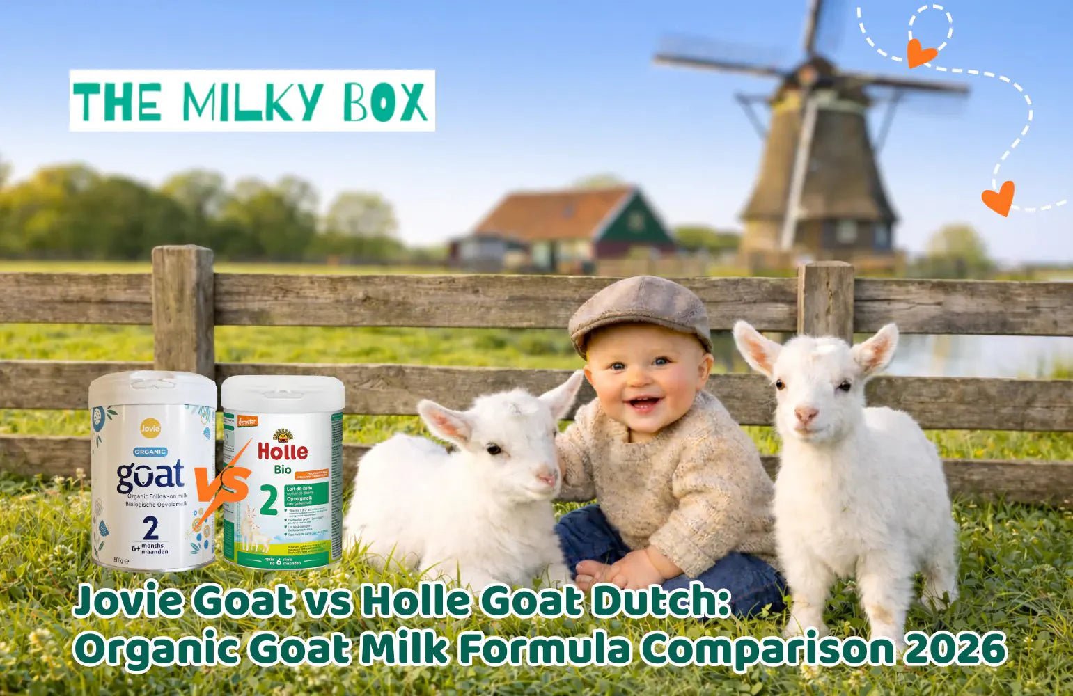 Jovie Goat vs Holle Goat Dutch: Organic Goat Milk Formula Comparison 2026 - The Milky Box