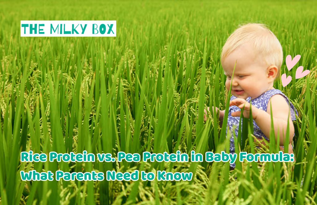 Rice Protein vs Pea Protein in Baby Formula: What Parents Need to Know