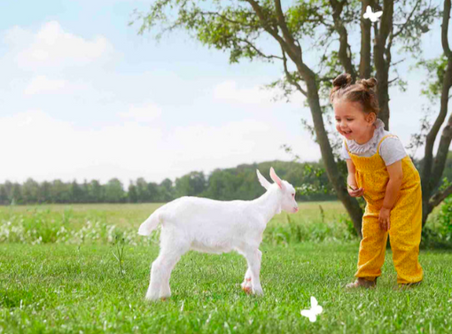 Kabrita manufacturer image