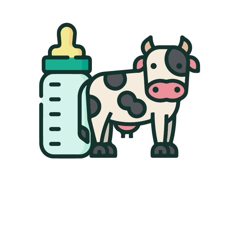 Organic Cows Milk Formulas